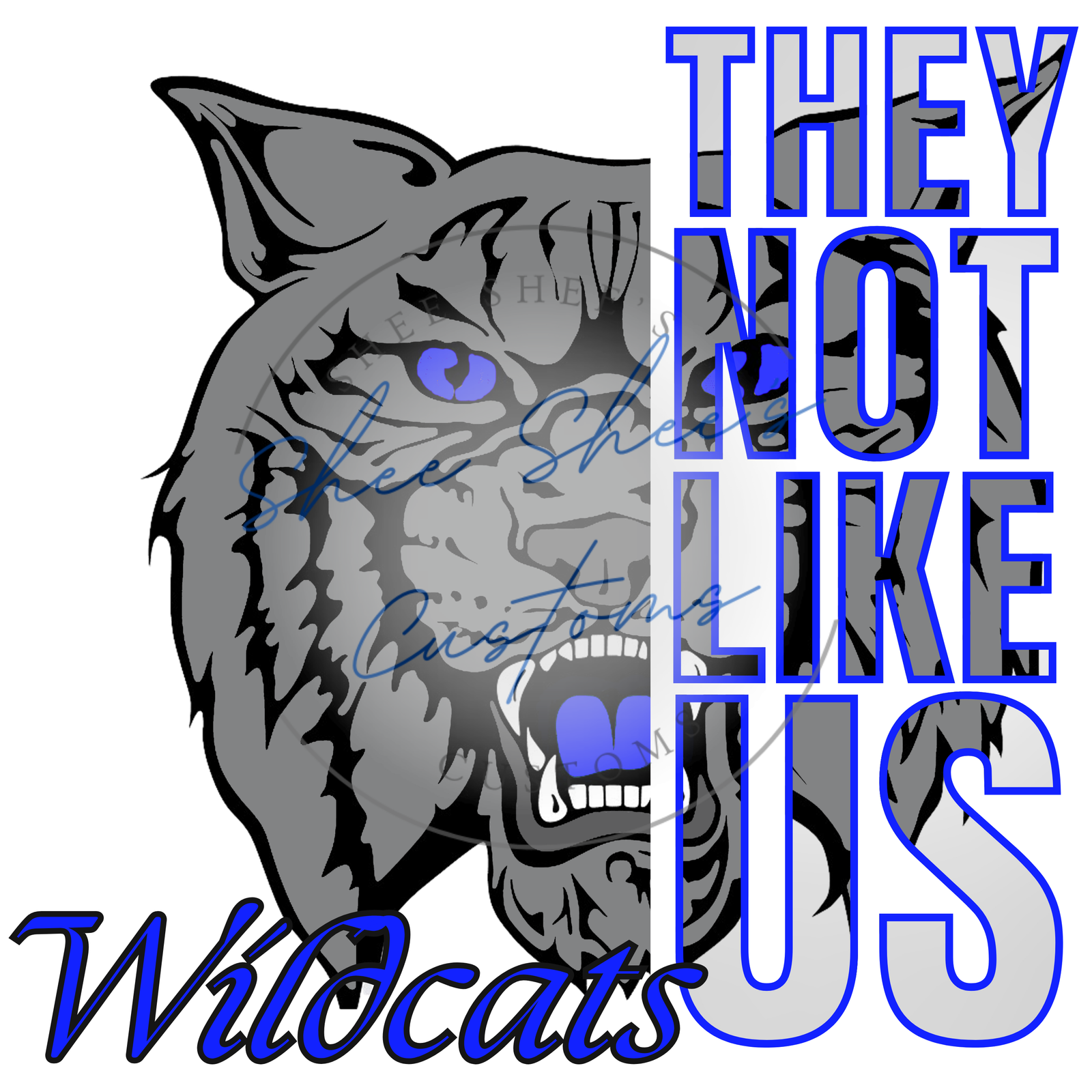 Wildcat 1 They not like us - Image 3
